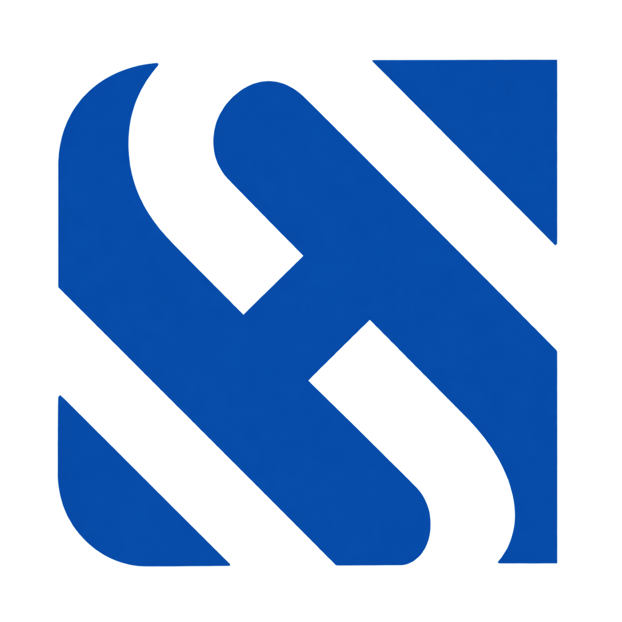 CHS Holding logosu